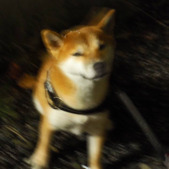 3bc3a63d 0d82 4dc9 b8d2 5caffbdec7ed