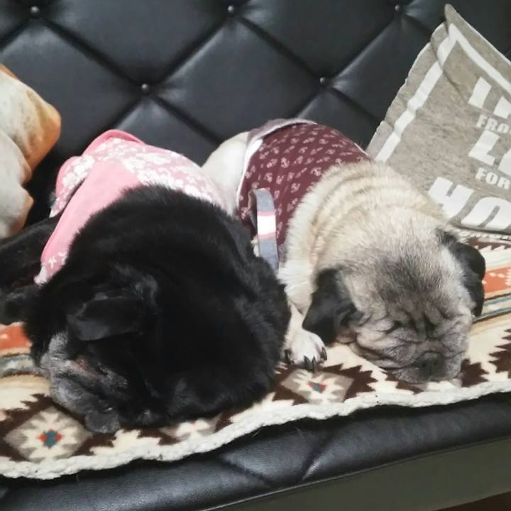 3bc3e2b8 63d7 423e 9fbb f3390adbcfa7