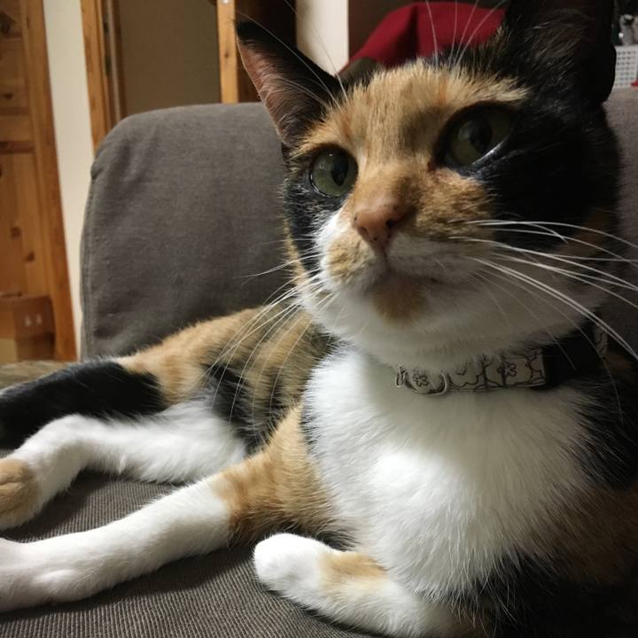 3bc624e9 8ec1 4d0b a8ce c8b000548c15