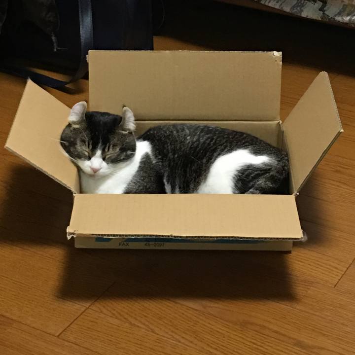 3bc635f6 e262 485b 804e 5c3a013e69b1