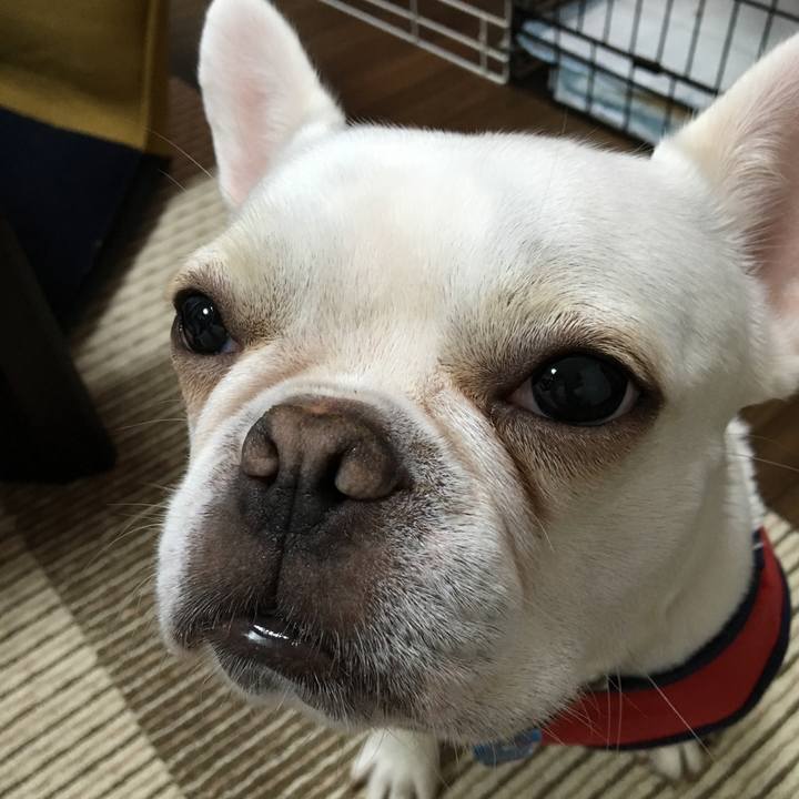 3bc6a719 7b81 47c2 a84d a2555cd4ca55