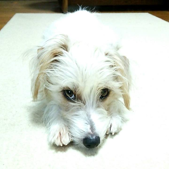 3bc72861 6cf2 43e9 ad32 a3125399439f