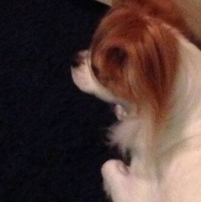 3bc8b2d2 a025 4e57 8ccd 10f21aff04ad