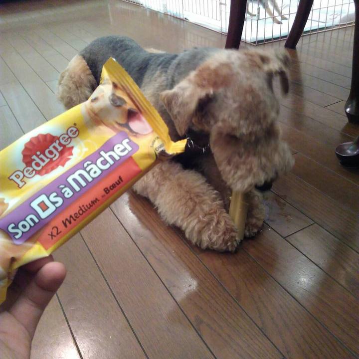 3bc931a6 197c 4a86 a01d 3be34792e904