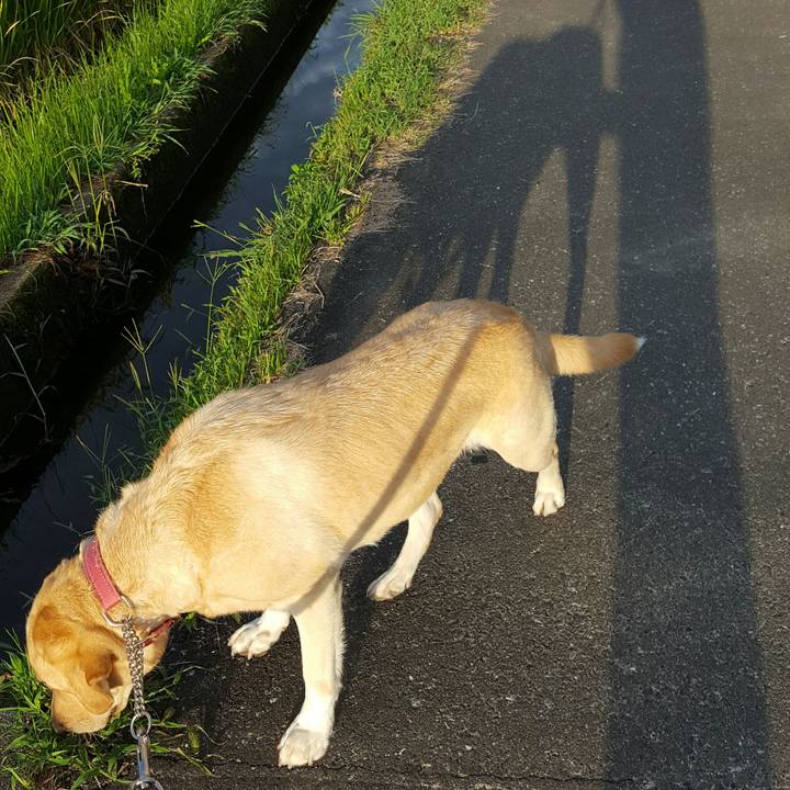 3bc939cd e3a9 45f5 b6e9 b309a2aae432