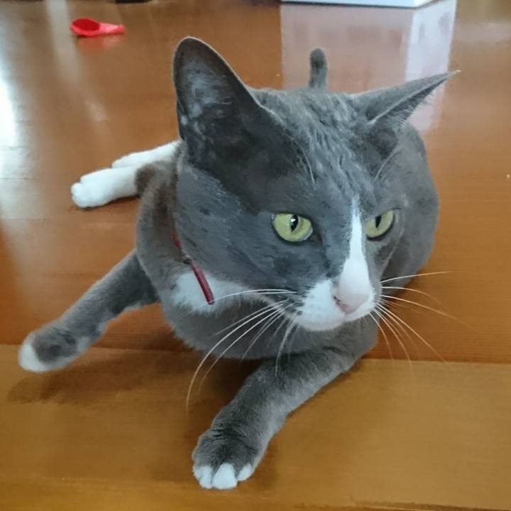 3bc9530d 3830 401f bffa aef1b809a545