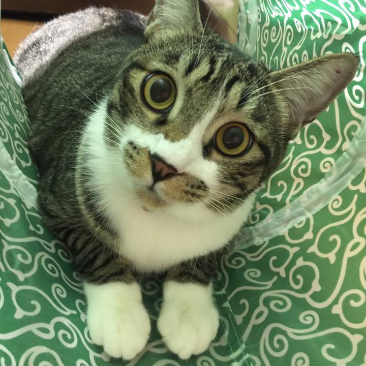 3bc97518 5665 4192 85d3 561e4da6c47e