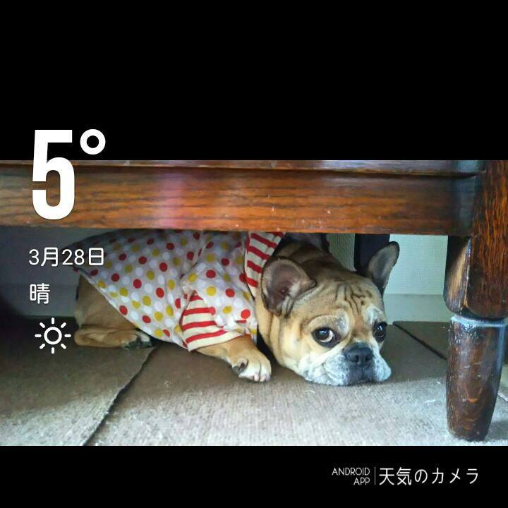 3bc99bd3 bf2c 456c b164 f0e882c050c8