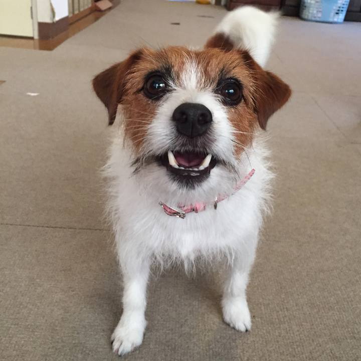 3bca352e d0aa 4b7e a30f 2220b69c188b