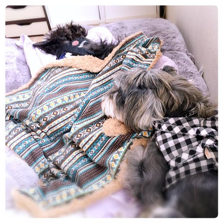 3bca9e46 65db 4375 920e 7c8fb126f4e4