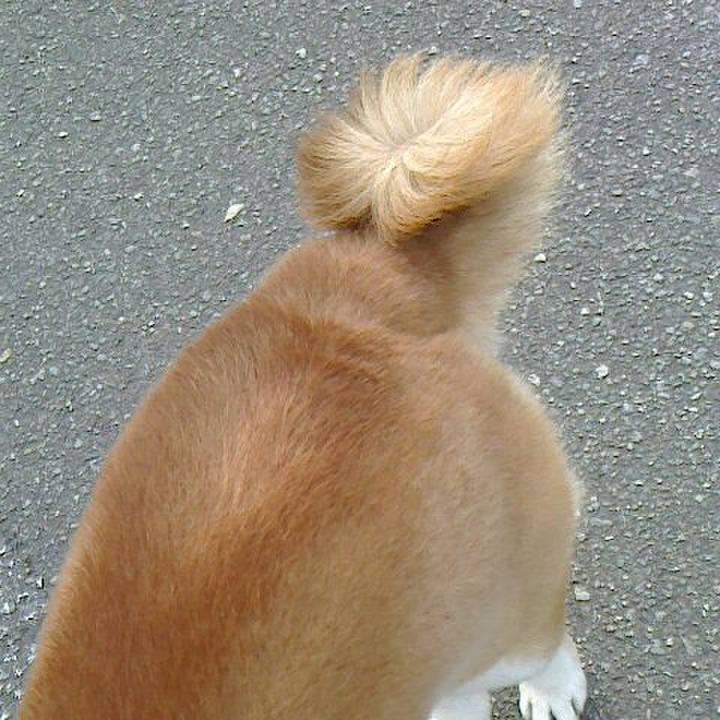 3bcb8ea6 8513 4cb5 800f 9d4cb55d6598