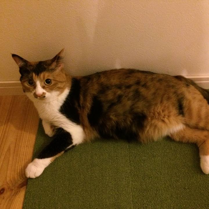 3bcbbb44 3caa 45ab 935f 68e82e430741