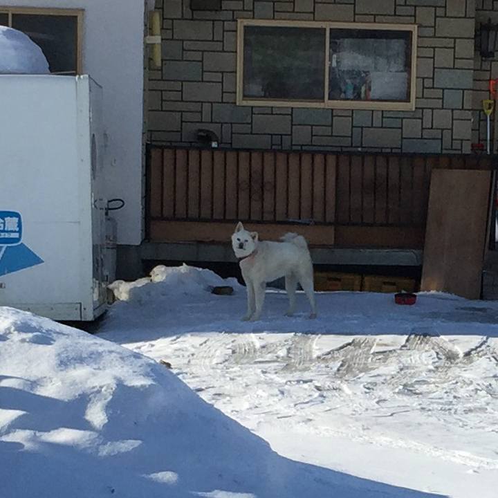 3bcc30f9 5daa 4b5d 9f55 bb437d057e33