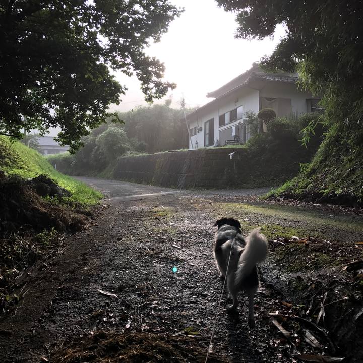 3bcc350e e5d2 4ed7 9d83 596f3a081e3e