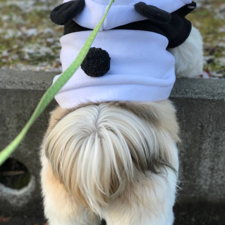 3bcd733c 56c1 46fb 9edc 40d9b6626974