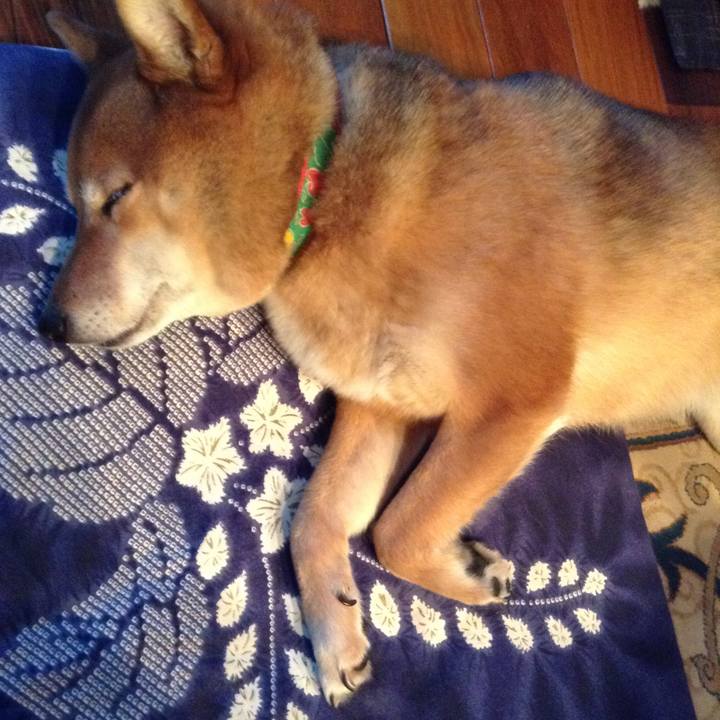 3bcd93ed 8be3 4fb9 aaba 55bc67688eaf