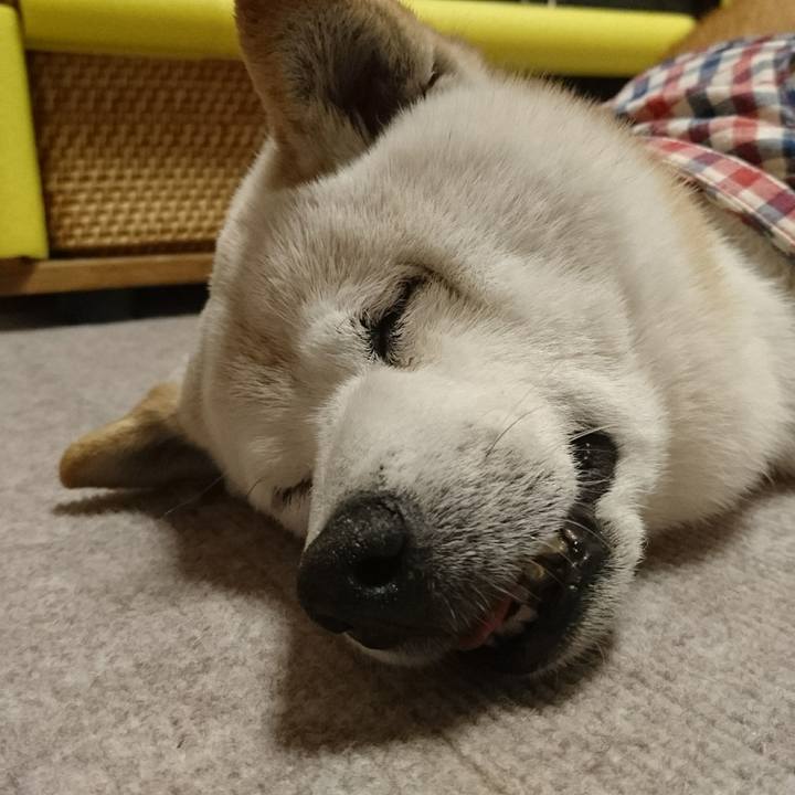 3bcd9592 0eca 41f3 97e6 60b0148c3fa9