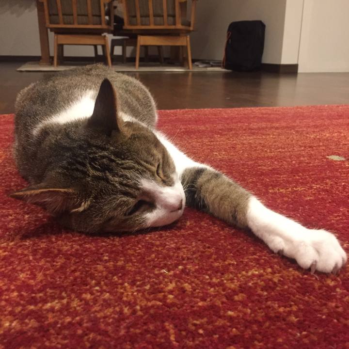 3bcdc693 c784 4436 9fbe 0cc6a05a1797