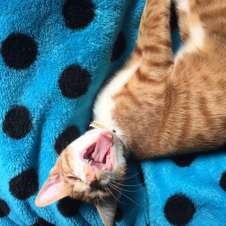 3bcddf87 03aa 4bb9 9c1b 257dc77fe357