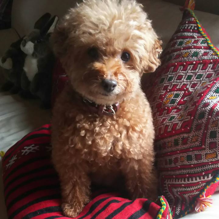 3bce05ff 24c0 46fc 8922 9cf15466b5bb