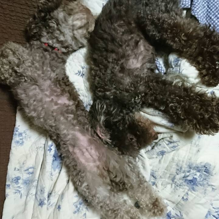 3bce55f5 df8f 45f5 94f3 0fa3e8a45221