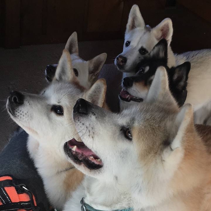 3bce5e7a cb17 4ede 920f 2d986d0cfd22