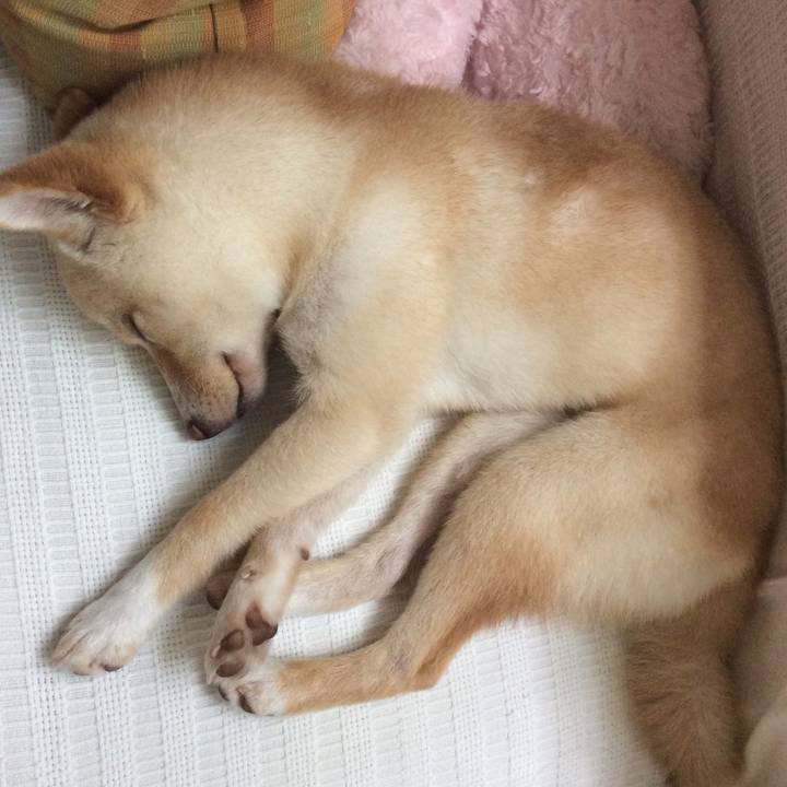 3bcf1a88 62d9 4718 ae30 03ede6e9d4bc