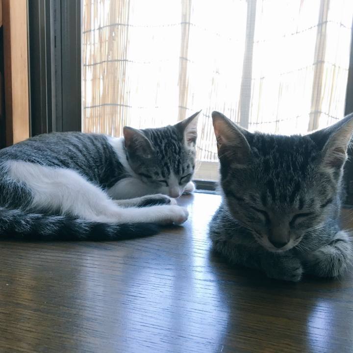 3bcf1eda ff9a 4b89 94aa ed35ad5ad112