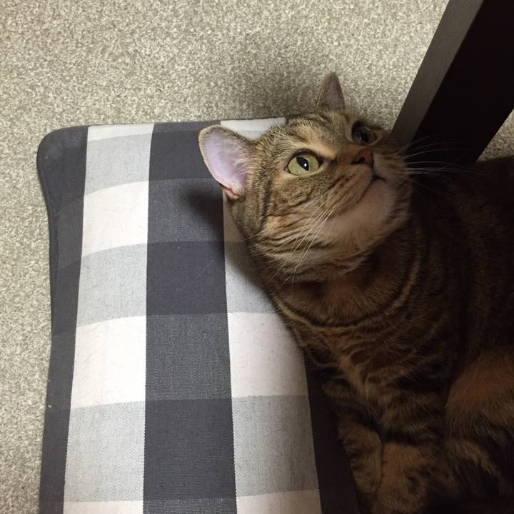 3bcf24e7 f6c4 429c b9f6 51d65a5429ac