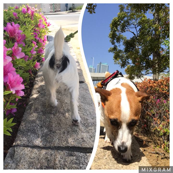 3bcf57e9 c779 492b b7b9 0b5620b0d79e