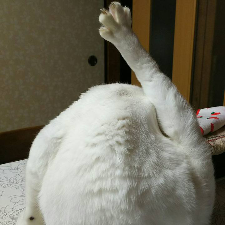 3bcf6fff d93c 4203 8ce3 7ecc3cd81bd8