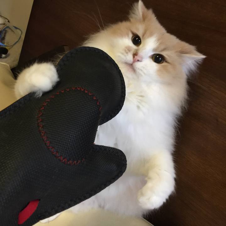 3bcff79c 569d 4dc0 85da 97b66688b78a