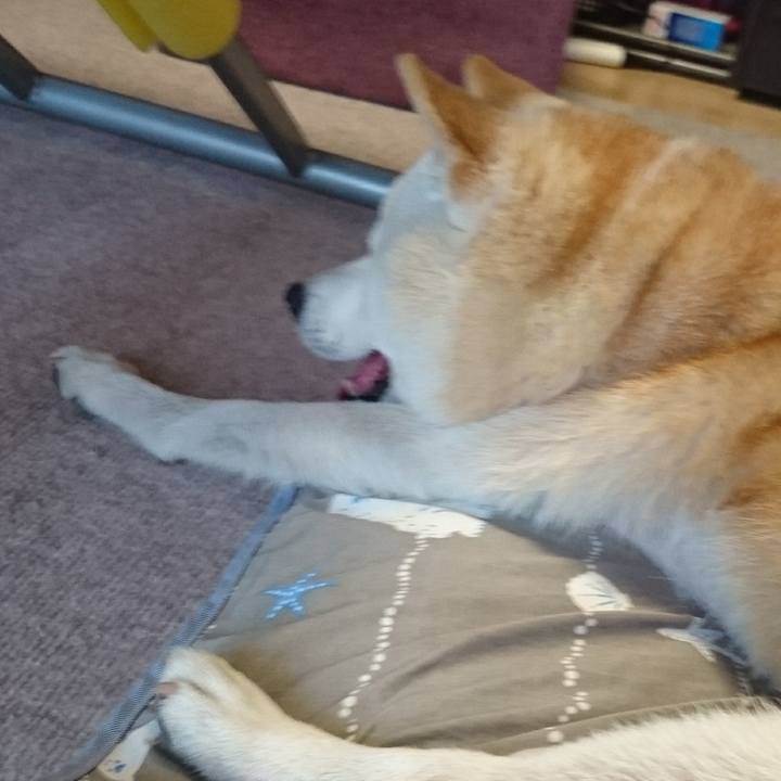 3bd0a2d9 ed1b 4714 93a4 3f35d0f83092