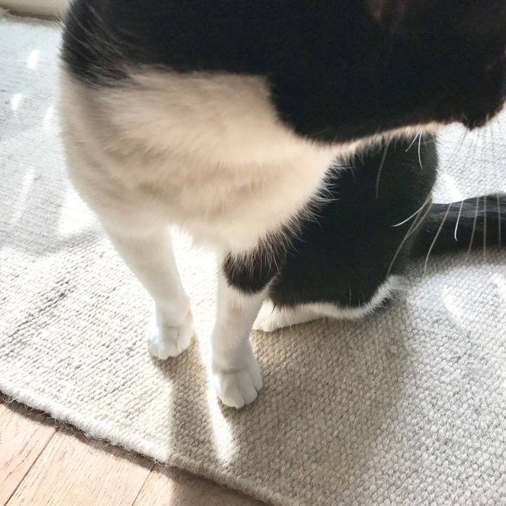 3bd0b3c9 0e51 4f5c a57d 829010068375