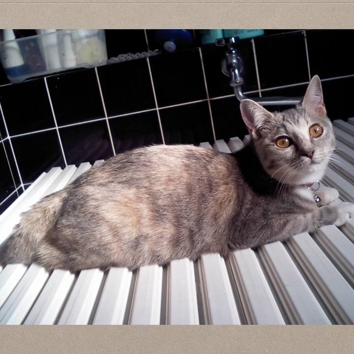 3bd13617 99d9 4b6e ac99 9c6d3f1f7045