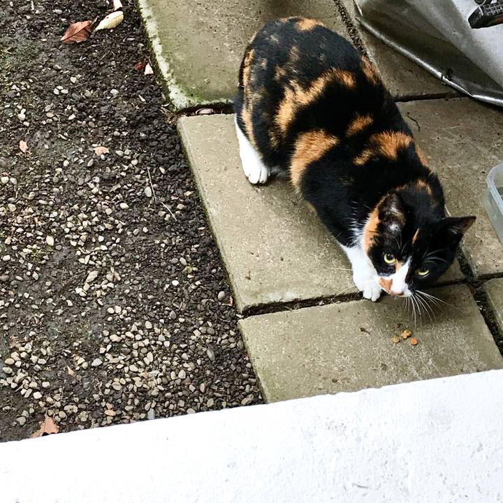 3bd1365d ca6a 4e11 b598 c82b3c3a945b