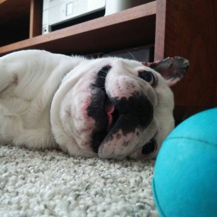 3bd1d7c2 e008 46b1 b027 50ab3de6f510