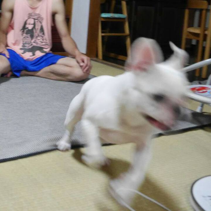 3bd27e7a e190 4fc6 9f38 313ab628c6c3