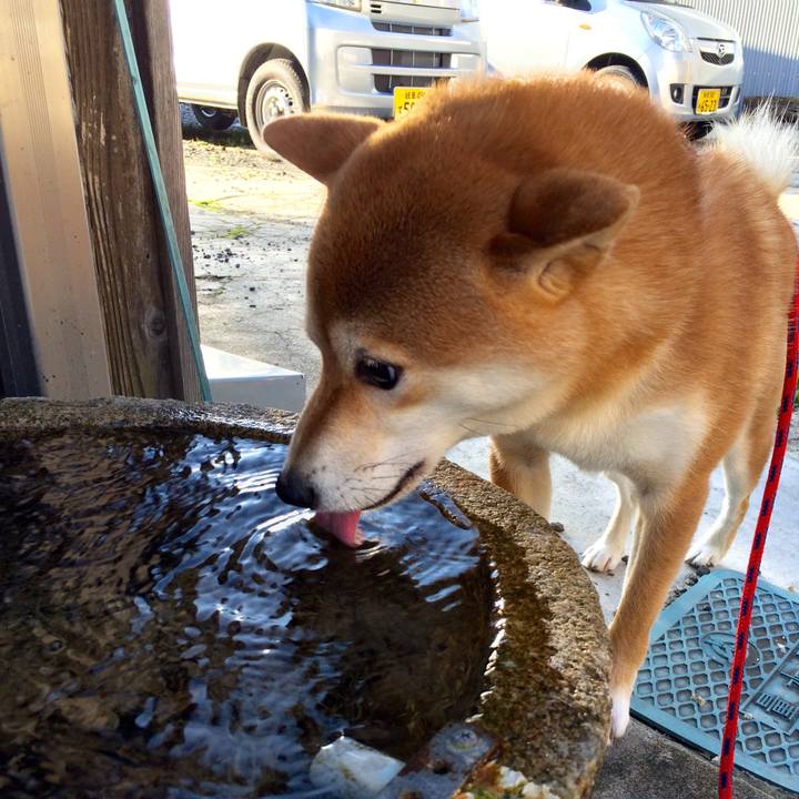 3bd319d1 d7f8 48fb b0d4 b692d801f2a4