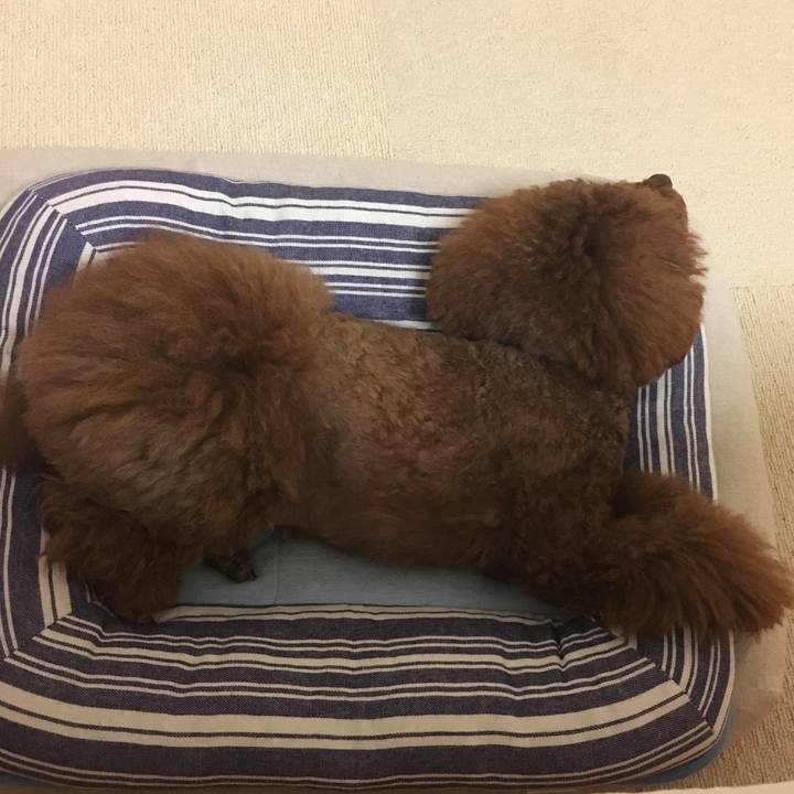 3bd3a97b 7115 4f33 8ace ccec81625e6d