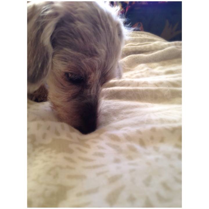 3bd503bf a3aa 4f47 b45c 8c3e806579e9