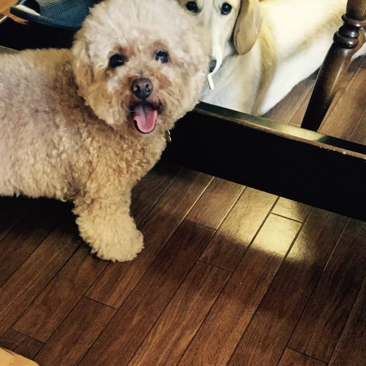 3bd5489b 36da 491e a961 668149e0da08