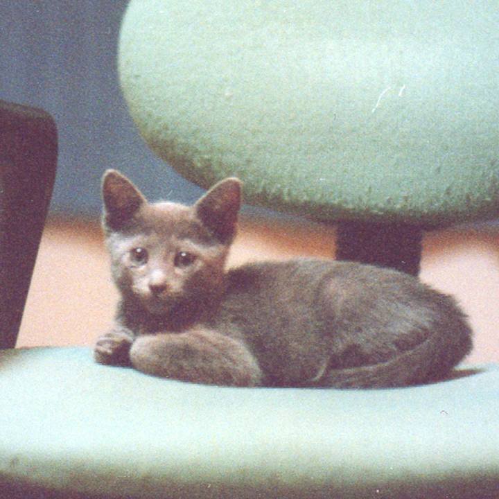 3bd603a7 79e9 4a73 a7ee 2f8031e29ed9