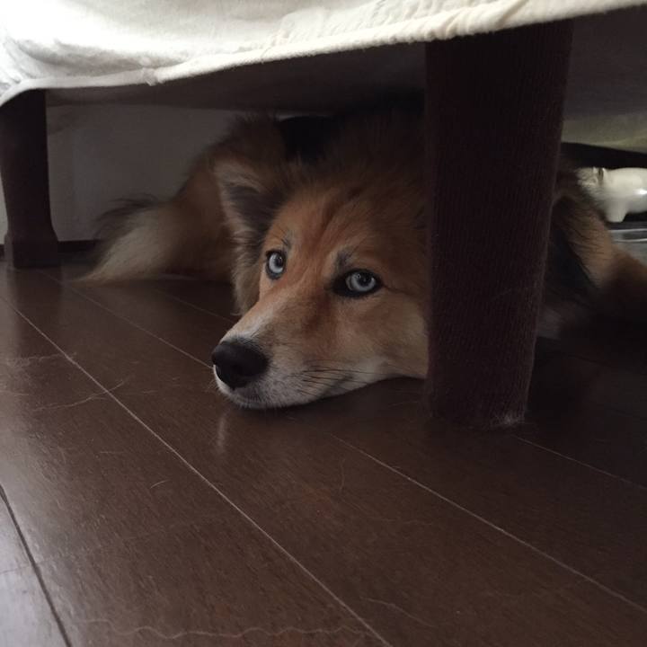 3bd6042e 97d9 4c17 b908 d8f001182b63