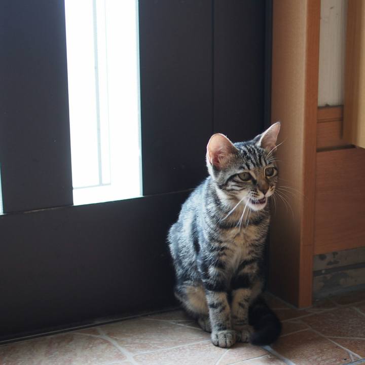 3bd6f27d 7ca7 4ffe 8854 56feaa880708