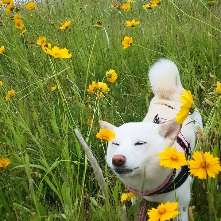 3bd7815d 3b34 43c6 9736 ae2ce10d822a