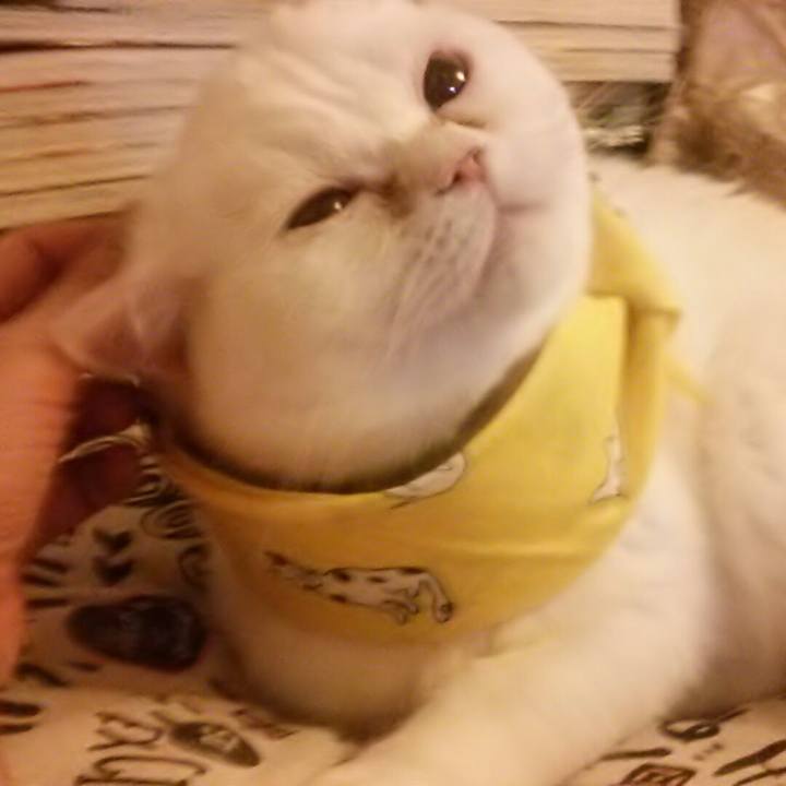 3bd79433 434b 459a 90b6 df02ca515269