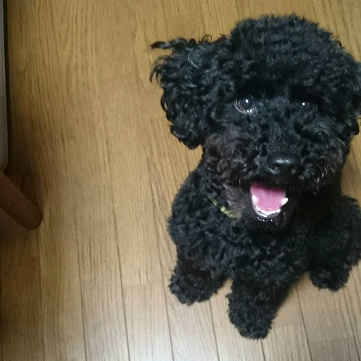 3bd7ca14 c6d5 4169 9bc1 f9dd049ea5b7