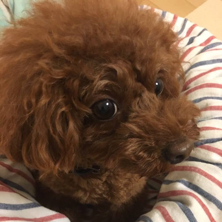 3bd827d8 1a71 44a2 8765 27c70c7f71b7