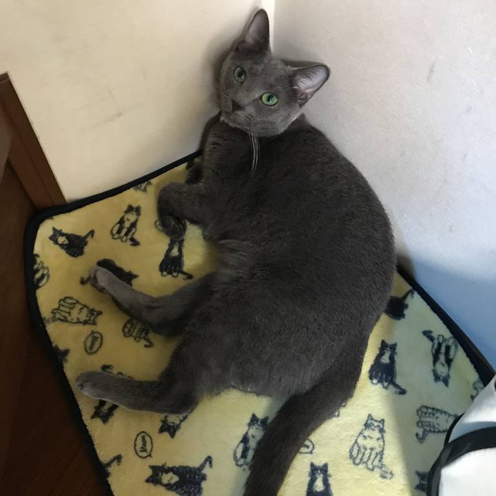 3bd83754 fa7b 42ab 8e09 8f1837e461a5